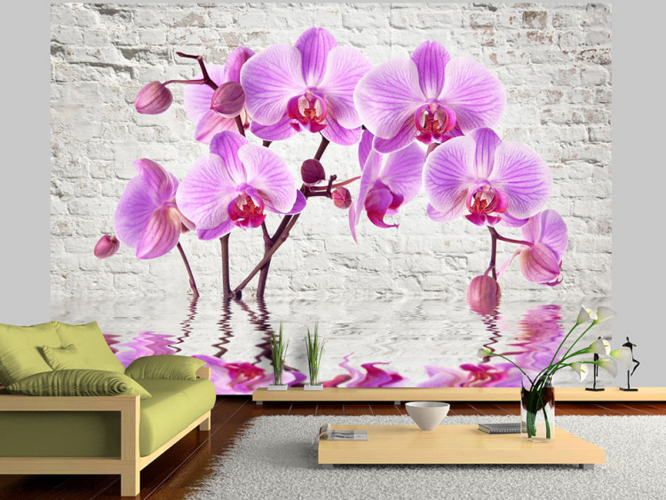 Vlies Fototapete Lila Begeisterung - Orchideen unter Wasser vor weißer Mauer 62019