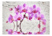 Vlies Fototapete Lila Begeisterung - Orchideen unter Wasser vor weißer Mauer 62019 additionalThumb 1