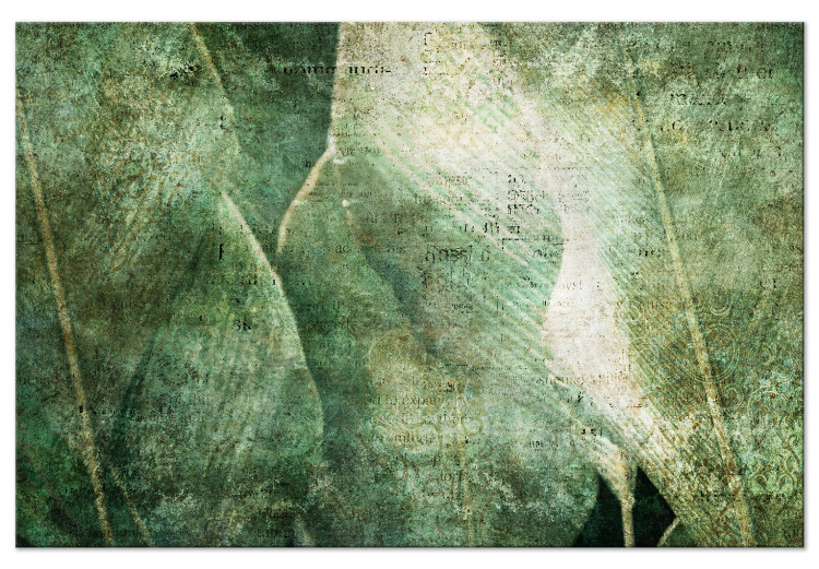 Leinwandbild Große Blätter - exotische Blätter auf abgenutztem Hintergrund 135529