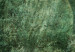 Leinwandbild Große Blätter - exotische Blätter auf abgenutztem Hintergrund 135529 additionalThumb 5