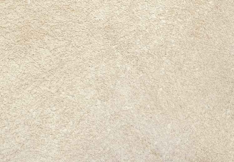 Leinwandbild Blätter von Nahem - Abstraktion mit einem Boho-Stil 135929 additionalImage 5