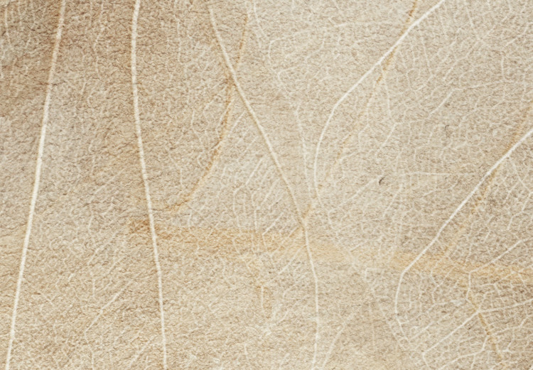 Leinwandbild Blätter von Nahem - Abstraktion mit einem Boho-Stil 135929 additionalImage 4