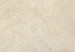 Leinwandbild Blätter von Nahem - Abstraktion mit einem Boho-Stil 135929 additionalThumb 5