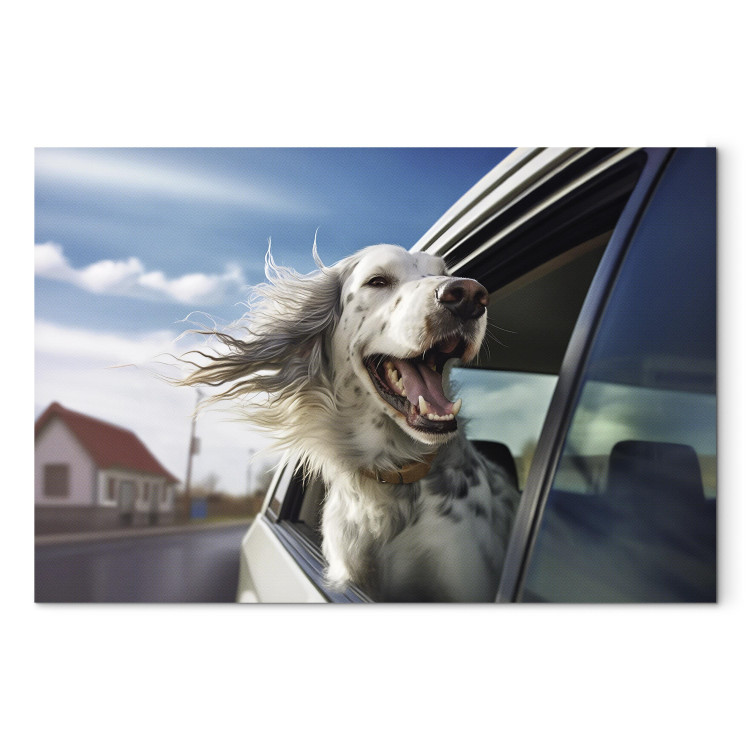 Bild AI Dog English Setter - Animal Catching Air Rush While Traveling by Car - Horizontal 150229 additionalImage 7