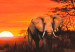 Bild auf Leinwand Einsamer Elefant 49629 additionalThumb 2