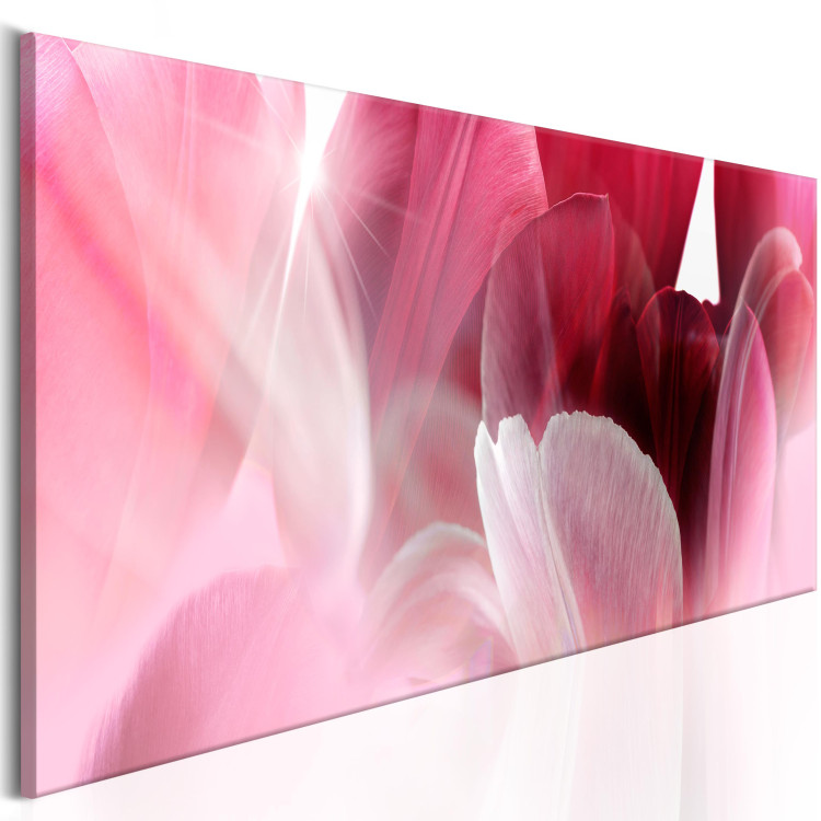 Bild auf Leinwand Flowers: Pink Tulips 98039 additionalImage 2