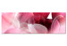 Bild auf Leinwand Flowers: Pink Tulips 98039