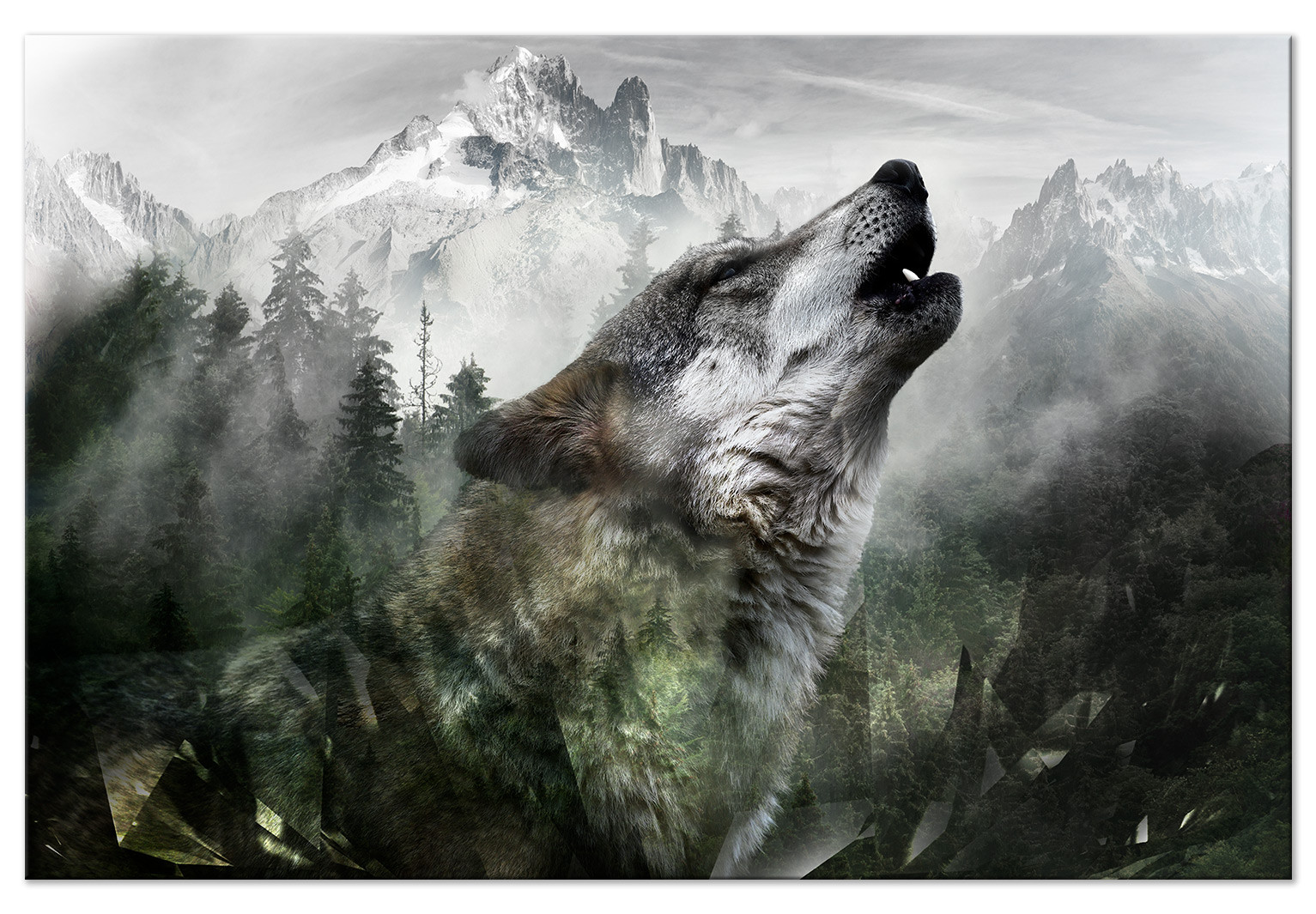 Leinwandbilder Howling Tiere Wölfe Part) Wolf - - Wandbilder Wide - (1