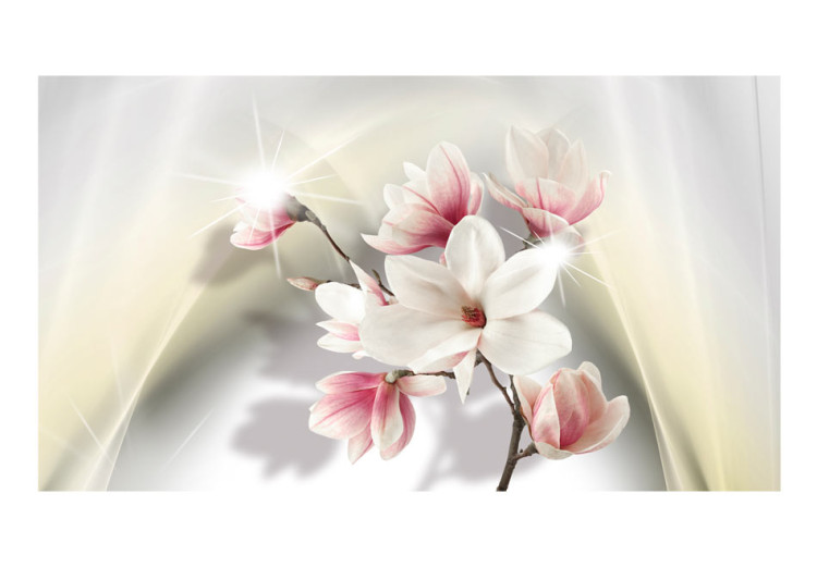 Fototapete Ast einer blühenden weißen Magnolie - Blumen auf subtilem Hintergrund 90459 additionalImage 1