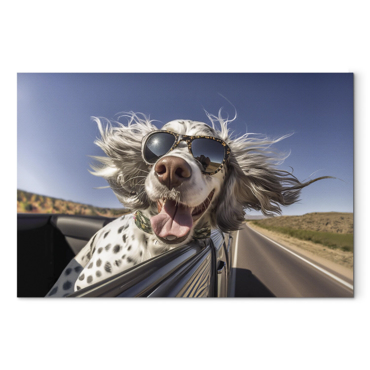 Leinwandbild AI English Setter Dog - Animal With Glasses Riding in a Car - Horizontal 150269 additionalImage 7