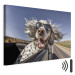 Leinwandbild AI English Setter Dog - Animal With Glasses Riding in a Car - Horizontal 150269 additionalThumb 8