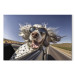 Leinwandbild AI English Setter Dog - Animal With Glasses Riding in a Car - Horizontal 150269