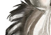 Wandbild Zeichnung mit freudigem Zebra -  aquarellartige Komposition 136379 additionalThumb 4