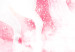 Wandbild Pink Unicorn Power - Rainbow Composition With an Animal 151779 additionalThumb 5
