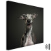 Leinwandbild AI Greyhound Dog - Portrait of a Wide Smiling Animal - Square 150199 additionalThumb 8
