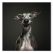 Leinwandbild AI Greyhound Dog - Portrait of a Wide Smiling Animal - Square 150199 additionalThumb 7