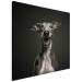 Leinwandbild AI Greyhound Dog - Portrait of a Wide Smiling Animal - Square 150199 additionalThumb 2